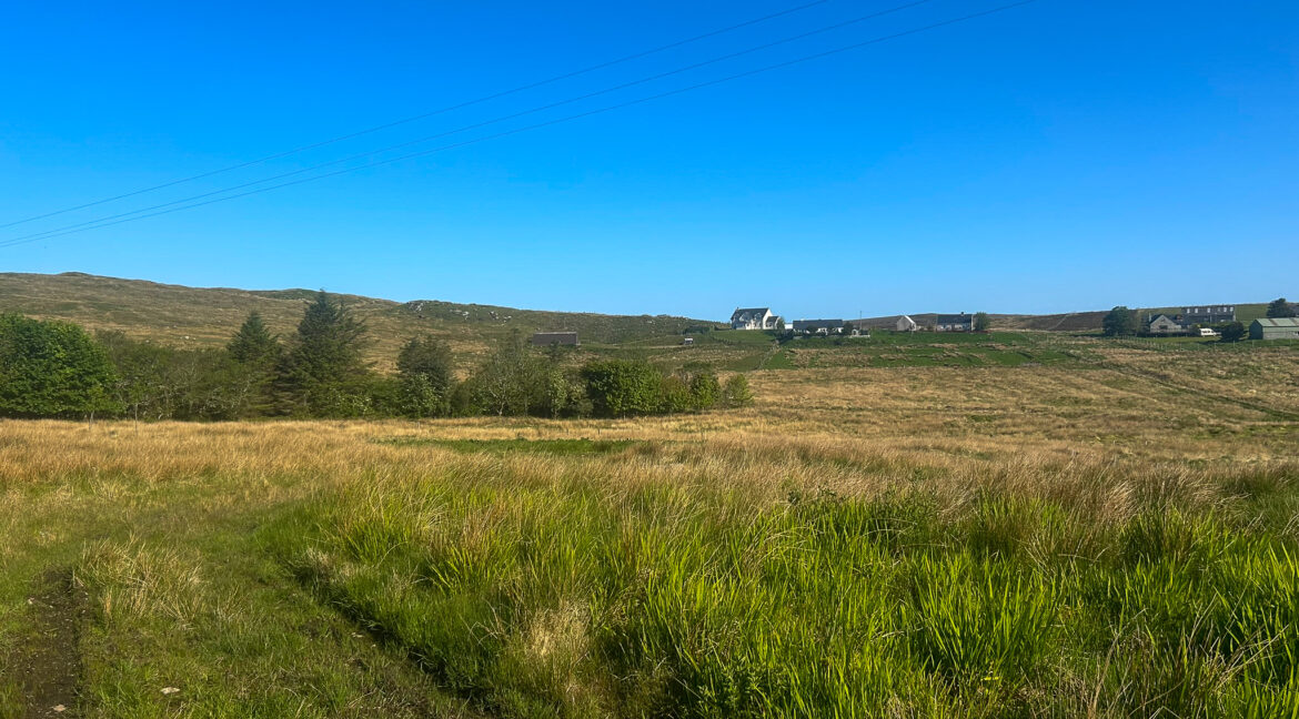 IMG_0135