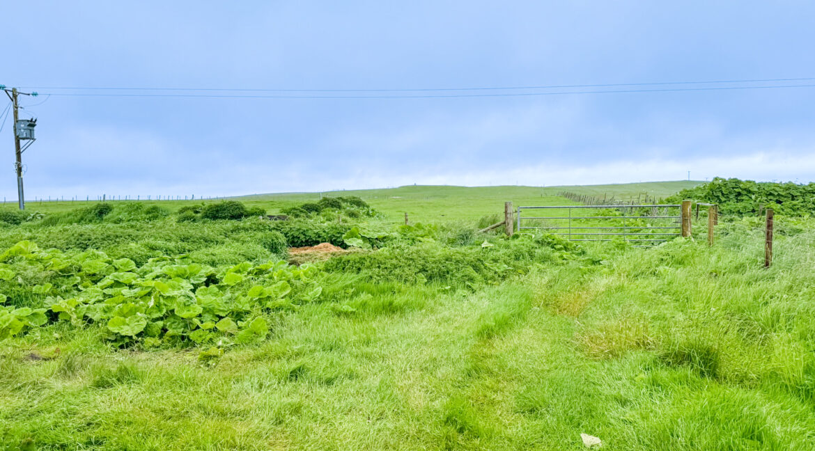 IMG_4618